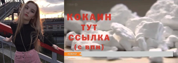 гашик Бородино