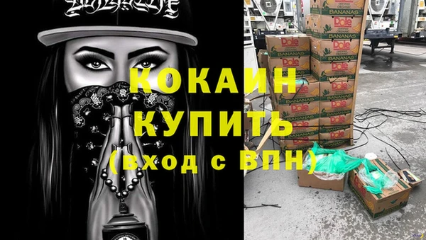 гашик Бородино