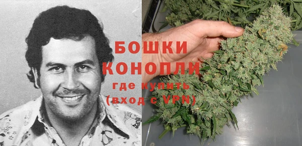 spice Верея