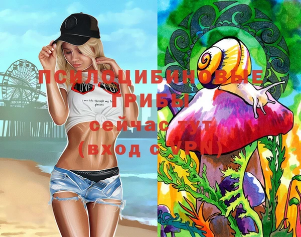 гашик Бородино